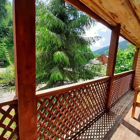 сімейний номер 2 у ані *