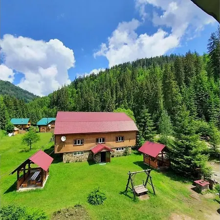 сімейний номер 2 у ані