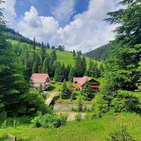 сімейний номер 2 у ані *