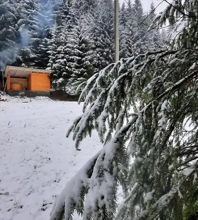 сімейний номер 2 у ані