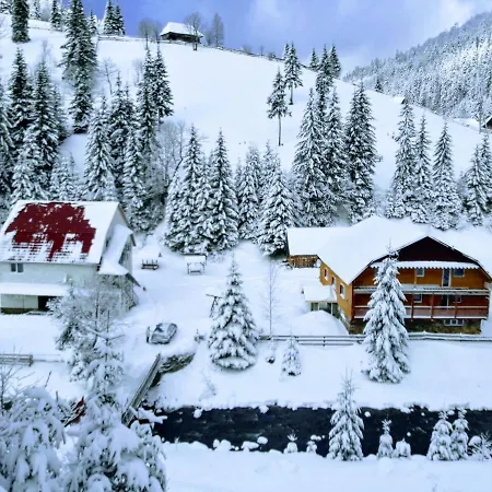 сімейний номер 2 у ані Synevyrs'ka Polyana