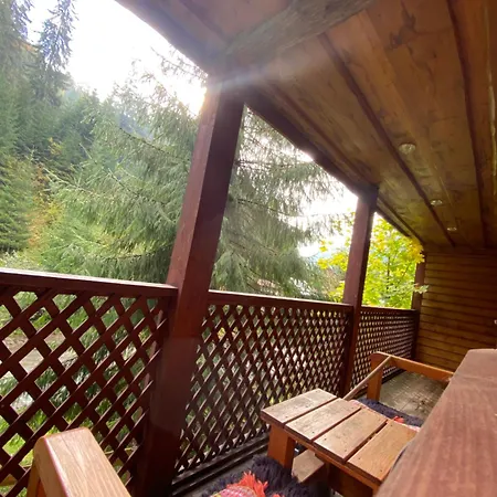 сімейний номер 2 у ані Apartment Synevyrs'ka Polyana