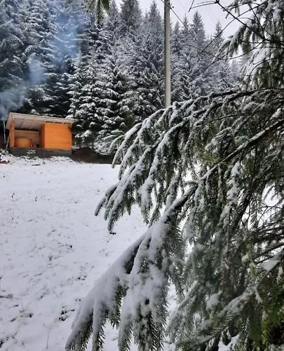 сімейний номер 2 у ані