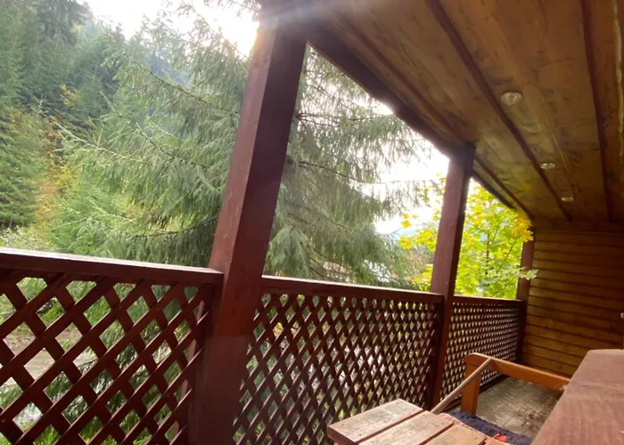 сімейний номер 2 у ані Apartment Synevyrs'ka Polyana